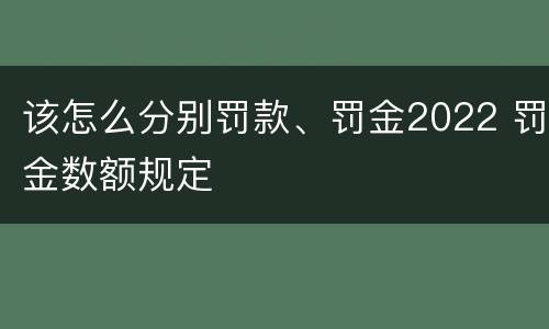该怎么分别罚款、罚金2022 罚金数额规定