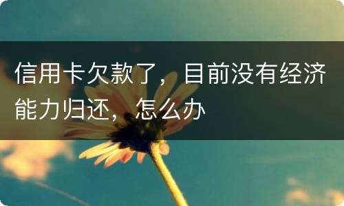信用卡欠款了，目前没有经济能力归还，怎么办