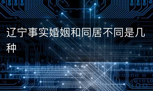 辽宁事实婚姻和同居不同是几种