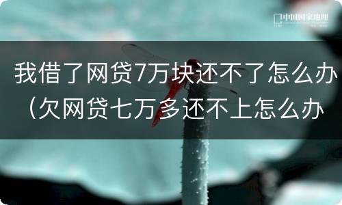 我借了网贷7万块还不了怎么办（欠网贷七万多还不上怎么办）