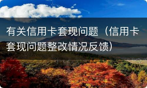 有关信用卡套现问题（信用卡套现问题整改情况反馈）