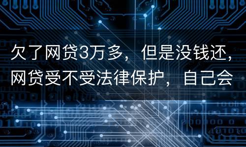 欠了网贷3万多，但是没钱还，网贷受不受法律保护，自己会承担什么责任