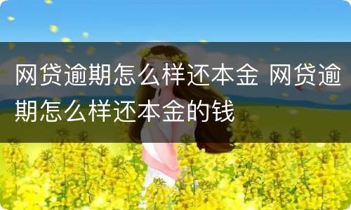 网贷逾期怎么样还本金 网贷逾期怎么样还本金的钱