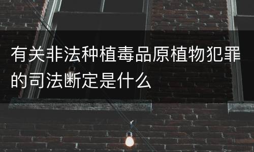 有关非法种植毒品原植物犯罪的司法断定是什么