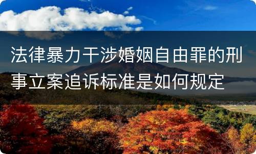 法律暴力干涉婚姻自由罪的刑事立案追诉标准是如何规定
