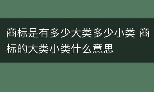 商标是有多少大类多少小类 商标的大类小类什么意思