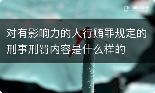 对有影响力的人行贿罪规定的刑事刑罚内容是什么样的