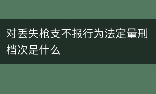 对丢失枪支不报行为法定量刑档次是什么