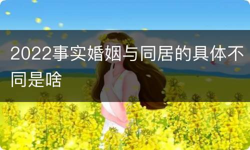2022事实婚姻与同居的具体不同是啥