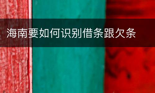 海南要如何识别借条跟欠条