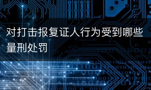 对打击报复证人行为受到哪些量刑处罚