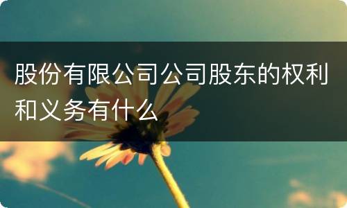 股份有限公司公司股东的权利和义务有什么