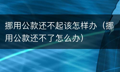 挪用公款还不起该怎样办（挪用公款还不了怎么办）