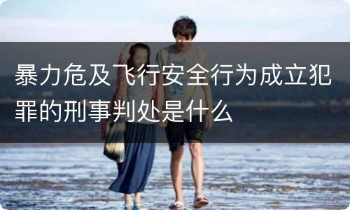 暴力危及飞行安全行为成立犯罪的刑事判处是什么