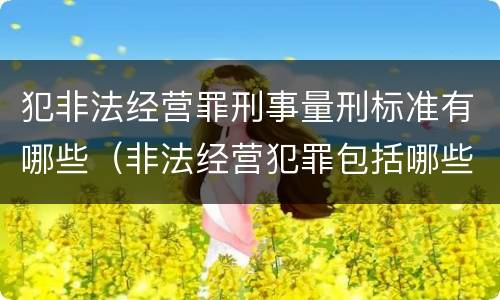 犯非法经营罪刑事量刑标准有哪些（非法经营犯罪包括哪些罪名）