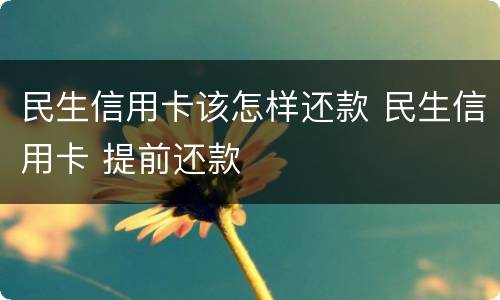 民生信用卡该怎样还款 民生信用卡 提前还款