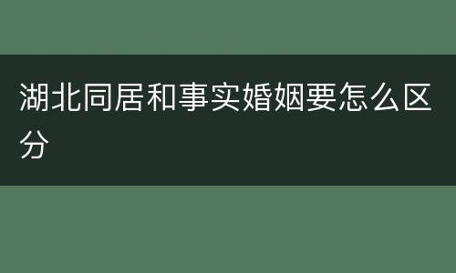 湖北同居和事实婚姻要怎么区分