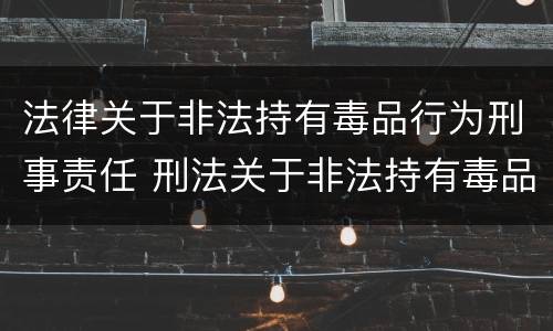 法律关于非法持有毒品行为刑事责任 刑法关于非法持有毒品罪的规定