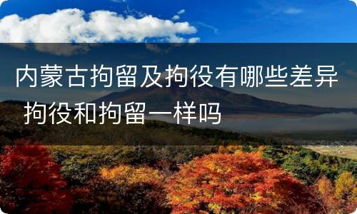 内蒙古拘留及拘役有哪些差异 拘役和拘留一样吗