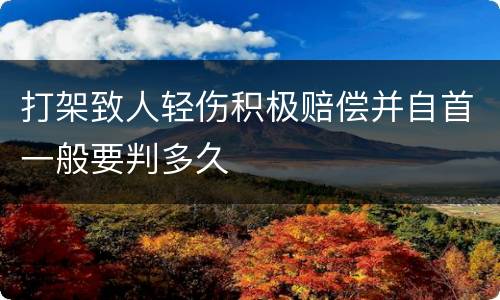 打架致人轻伤积极赔偿并自首一般要判多久