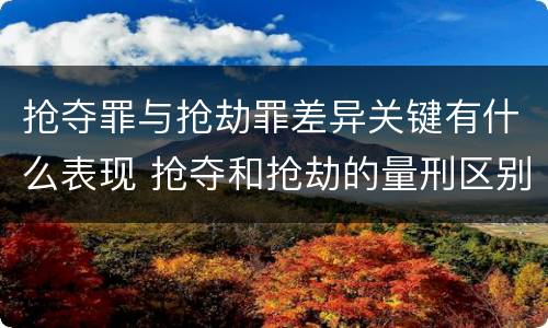 抢夺罪与抢劫罪差异关键有什么表现 抢夺和抢劫的量刑区别
