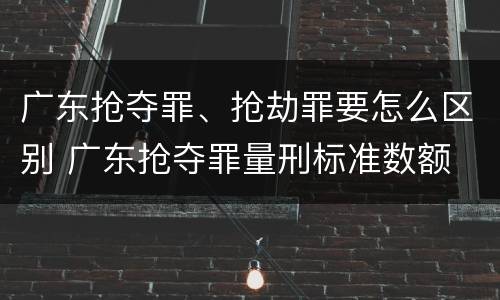 广东抢夺罪、抢劫罪要怎么区别 广东抢夺罪量刑标准数额
