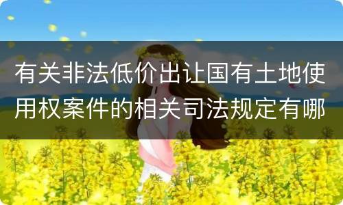 有关非法低价出让国有土地使用权案件的相关司法规定有哪些内容