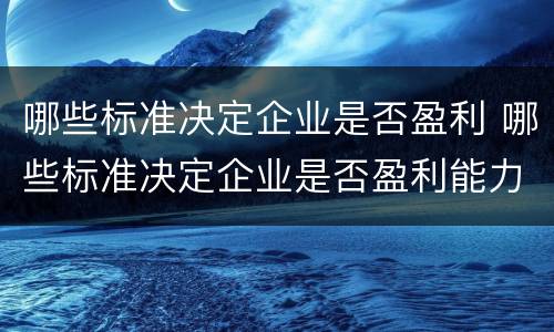 哪些标准决定企业是否盈利 哪些标准决定企业是否盈利能力