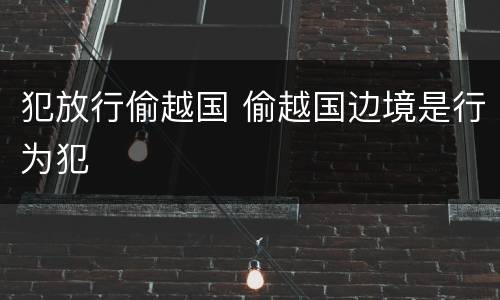 犯放行偷越国 偷越国边境是行为犯