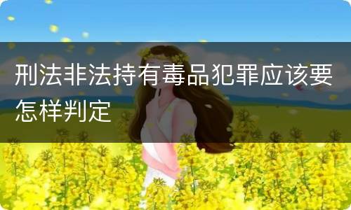 刑法非法持有毒品犯罪应该要怎样判定