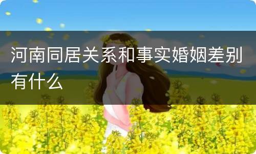 河南同居关系和事实婚姻差别有什么