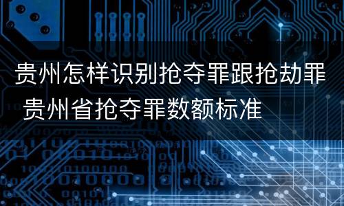 贵州怎样识别抢夺罪跟抢劫罪 贵州省抢夺罪数额标准