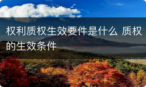 权利质权生效要件是什么 质权的生效条件