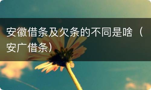 安徽借条及欠条的不同是啥（安广借条）