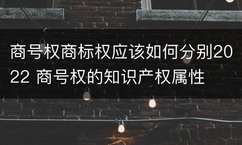 商号权商标权应该如何分别2022 商号权的知识产权属性