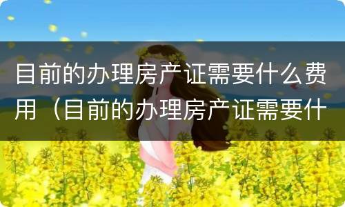 目前的办理房产证需要什么费用（目前的办理房产证需要什么费用呢）