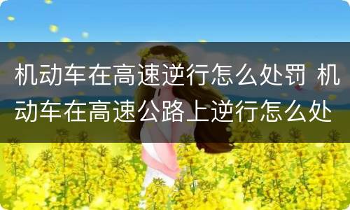 机动车在高速逆行怎么处罚 机动车在高速公路上逆行怎么处罚