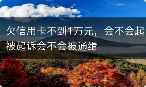 欠信用卡不到1万元，会不会起被起诉会不会被通缉
