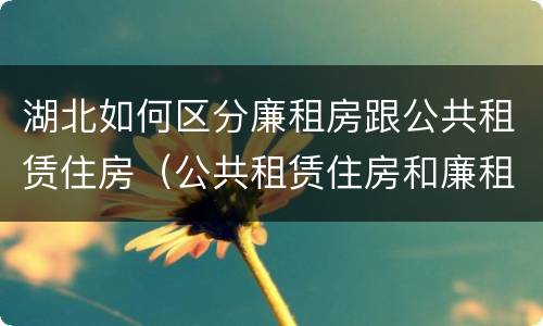 湖北如何区分廉租房跟公共租赁住房（公共租赁住房和廉租房的区别）
