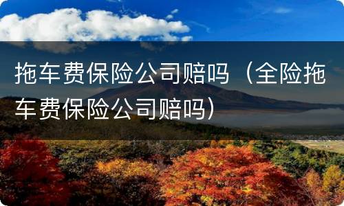 拖车费保险公司赔吗（全险拖车费保险公司赔吗）