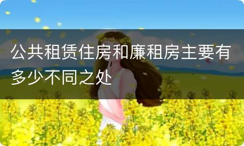 公共租赁住房和廉租房主要有多少不同之处