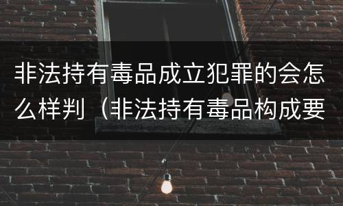 非法持有毒品成立犯罪的会怎么样判（非法持有毒品构成要件）