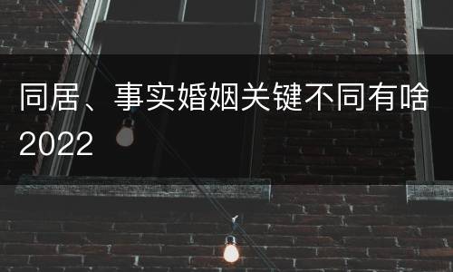 同居、事实婚姻关键不同有啥2022