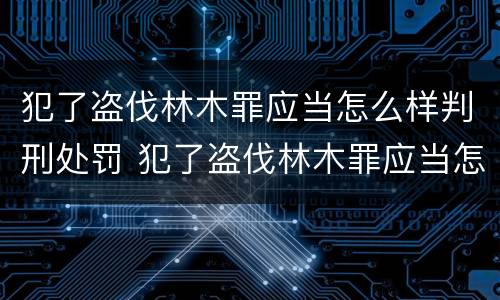 犯了盗伐林木罪应当怎么样判刑处罚 犯了盗伐林木罪应当怎么样判刑处罚标准