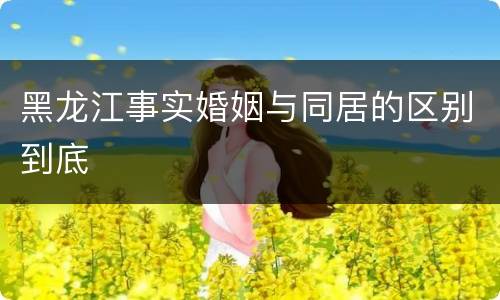 黑龙江事实婚姻与同居的区别到底