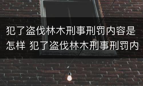 犯了盗伐林木刑事刑罚内容是怎样 犯了盗伐林木刑事刑罚内容是怎样的