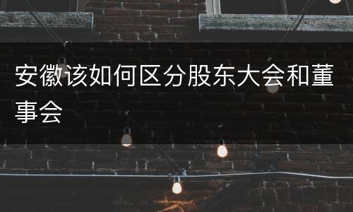 安徽该如何区分股东大会和董事会