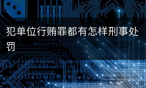 犯单位行贿罪都有怎样刑事处罚