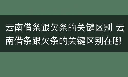 云南借条跟欠条的关键区别 云南借条跟欠条的关键区别在哪里