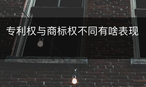 专利权与商标权不同有啥表现